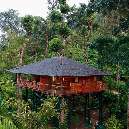 Tranquil Resort - Blusalzz Collection, Wayanad - Kerala Ambalavayal Exterior photo
