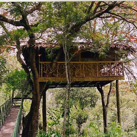 Tranquil Resort - Blusalzz Collection, Wayanad - Kerala Ambalavayal Room photo