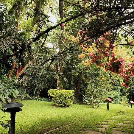 Tranquil Resort - Blusalzz Collection, Wayanad - Kerala Ambalavayal Room photo