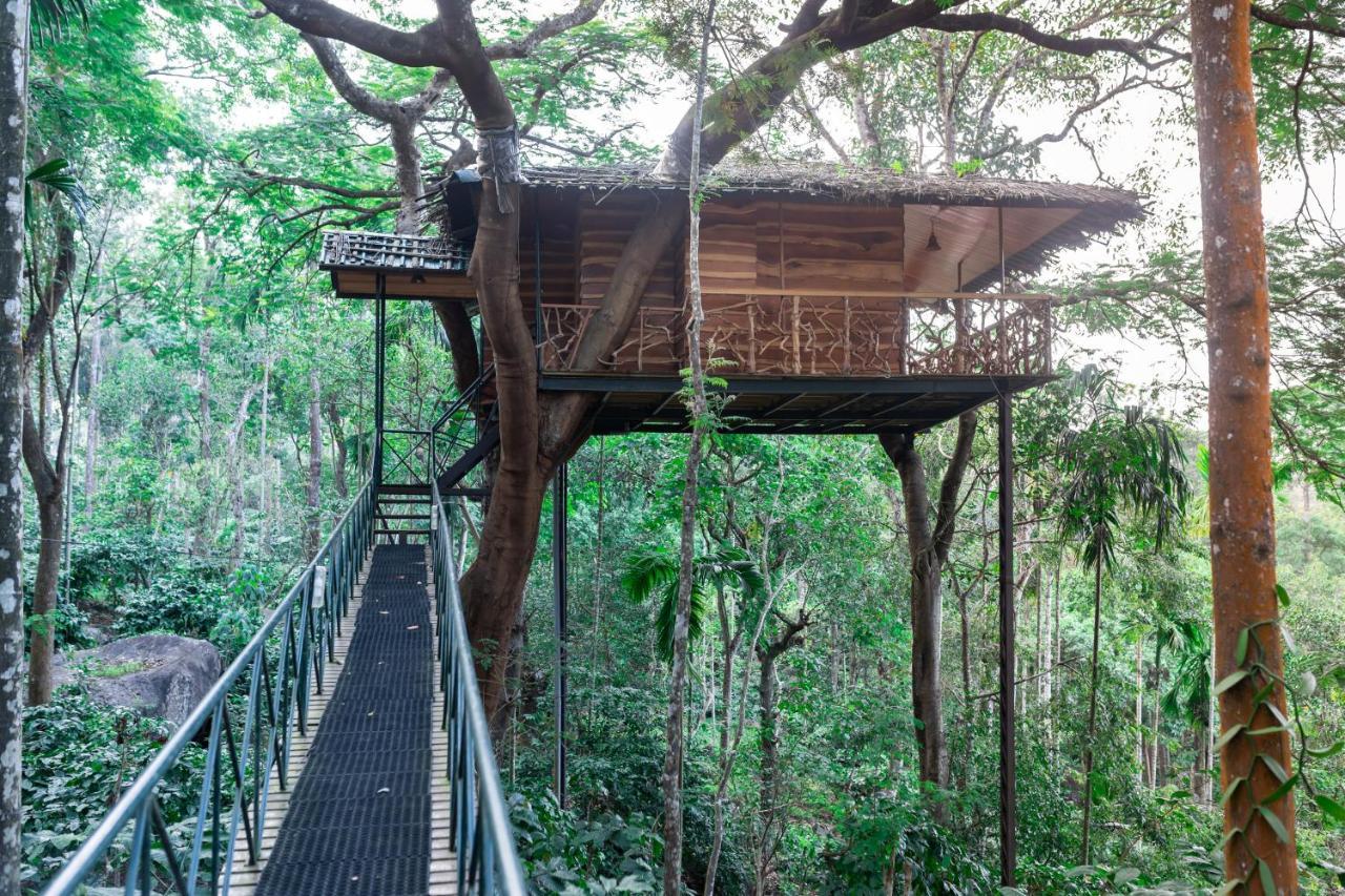 Tranquil Resort - Blusalzz Collection, Wayanad - Kerala सहारा 4*