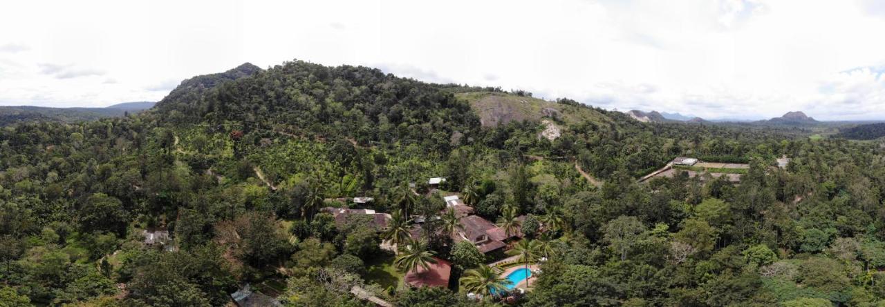 Tranquil Resort - Blusalzz Collection, Wayanad - Kerala